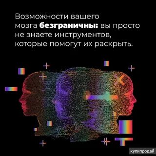 Курс мозг