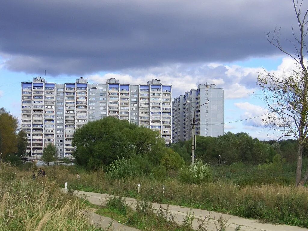 Жк спутник мытищи. Борисовка д. Мытищи улица мира 39. Московская обл мытищи ул 2-я институтская спутник. Мытищи летная 30.