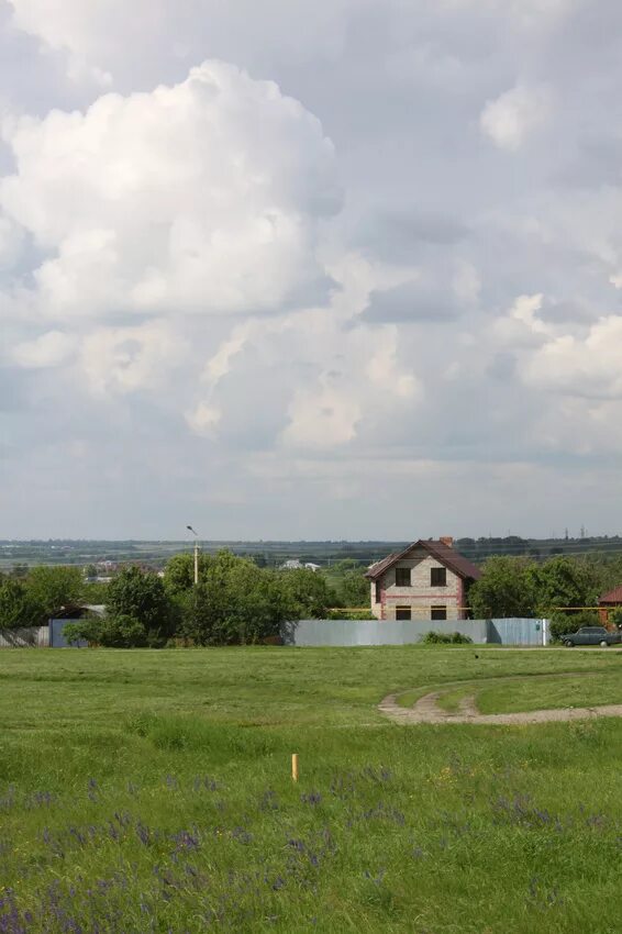 Белгородская долина лотосов. Озеро лотосов белгородская область село быковка. Село быковка белгородская область. Село быковка белгородская область. Село быковка белгородская область.