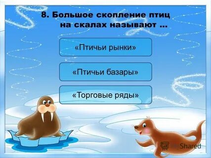 Как называют скопление птиц на скалах арктики