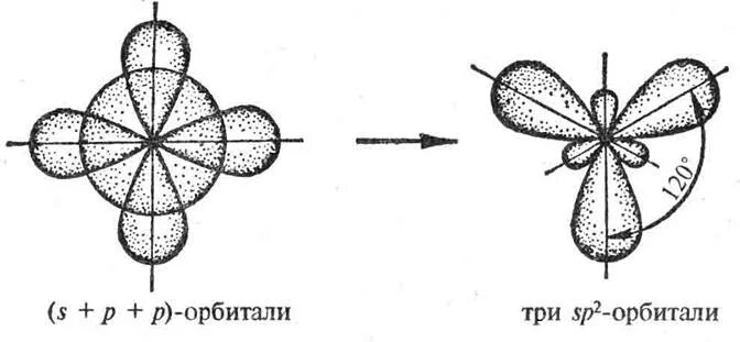 Ацетилен орбитали. Строение орбиталей углерода. Гибридизация орбиталей атома углерода. Sp3 гибридизация атомных орбиталей углерода. Схема перекрывания атомных орбиталей co2.