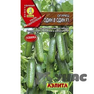 Масса 1 огурца