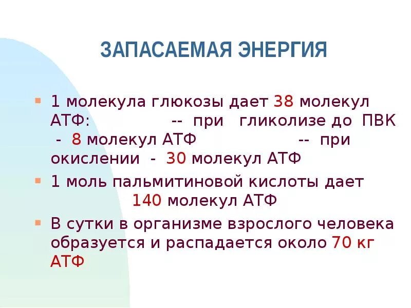 Образуется 2 атф в гликолизе. Энергия АТФ. Количество энергии в АТФ. 1 Моль АТФ. АТФ процесс запасания энергии.