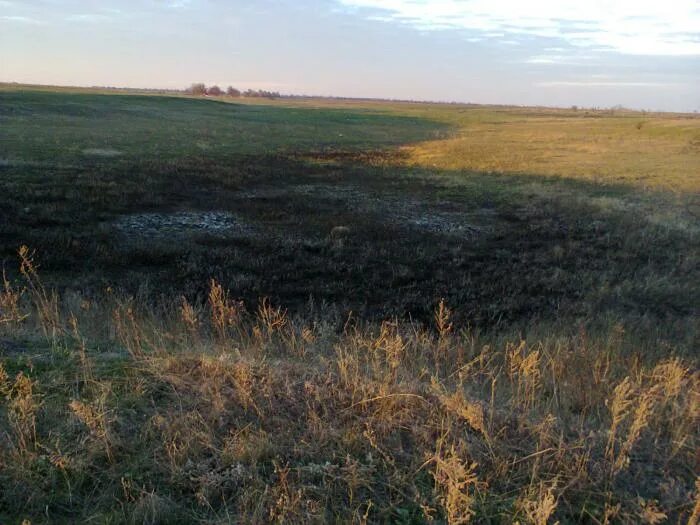 Морозово белгородская область пруд. Новониколаевка старооскольский. Новониколаевка старооскольский. Новониколаевка хакасия. Новониколаевка старооскольский.