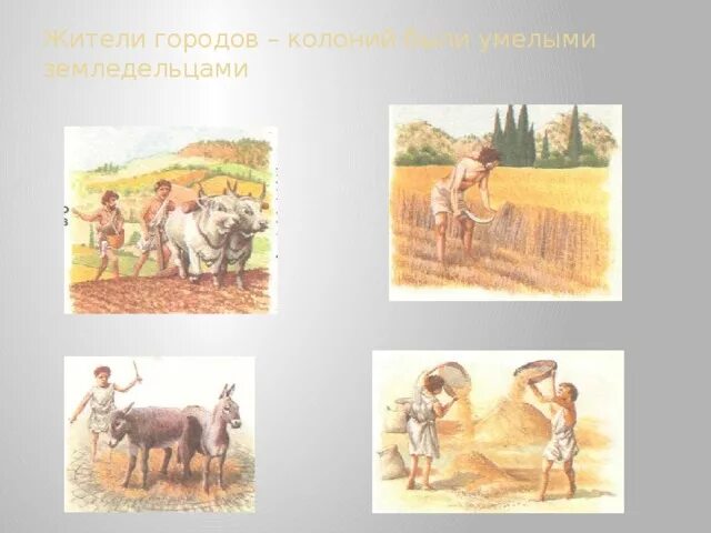 Земледелец получает 700 г бурого. Земледелец получает 700 г бурого