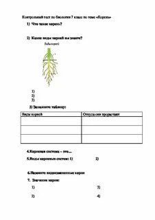 Карточки по теме корень 2 класс