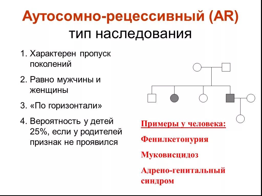 Организмы с рецессивным признаком: найдено 73 картинок