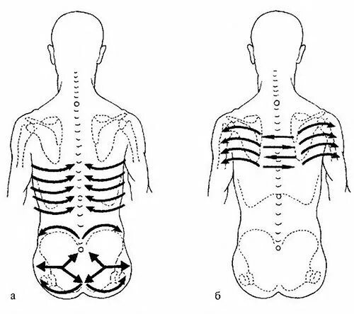 Зоны массажа спины