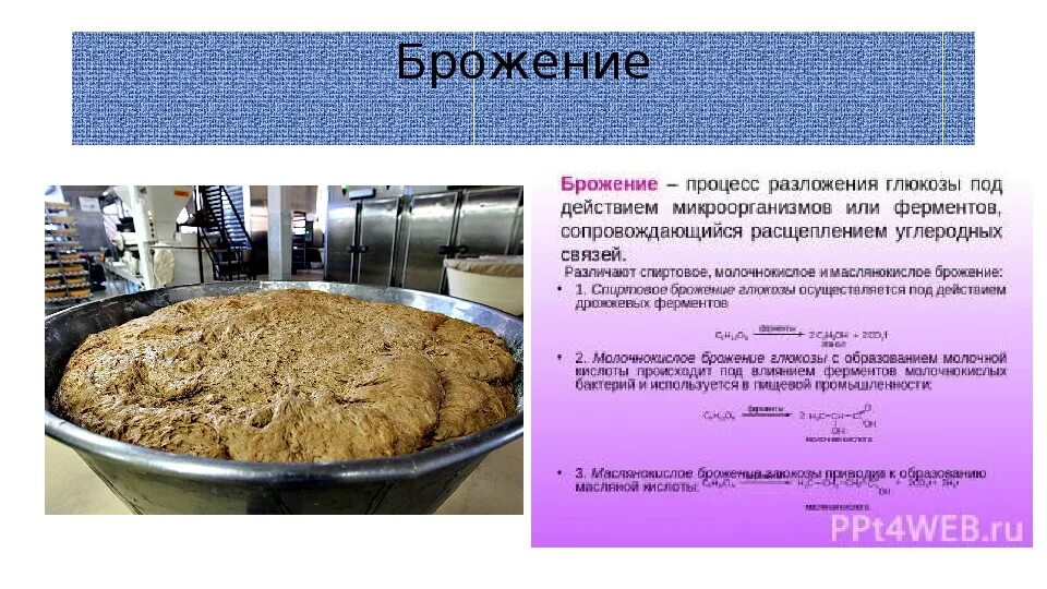 Сколько дней бродят дрожжи. Перечислите факторы замедляющие процесс брожения дрожжевого теста. Процесс брожения. Процесс брожения дрожжей. Процесс брожения теста.