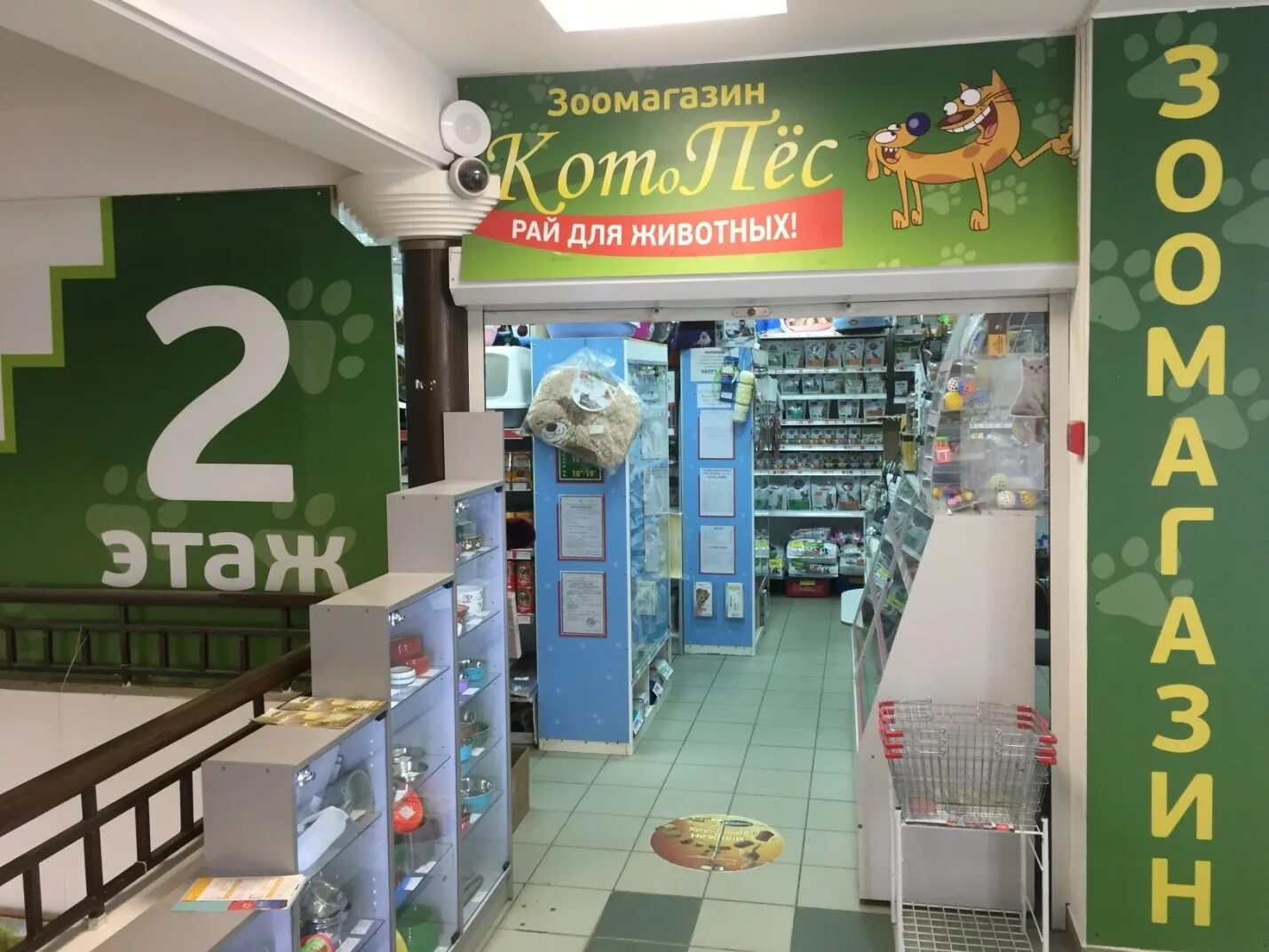 магазин кот и пес. зоомагазин кот и пес город георгиевск. магазин киса. кот и пес магазин. магазин кот и пес петропавловск камчатский.