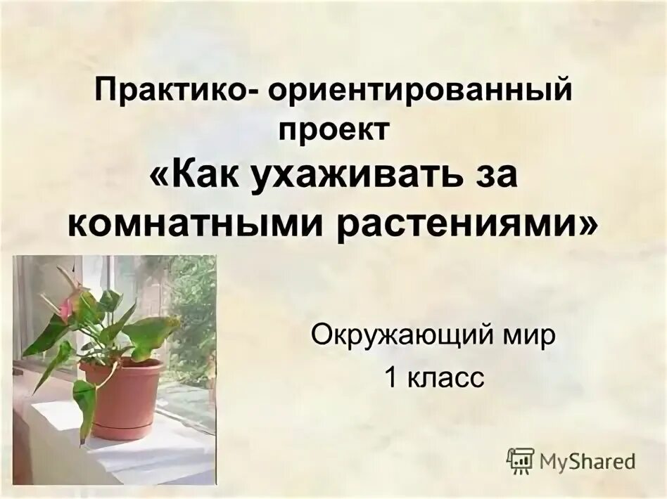 Проект 2 класс мои растения � � � � � � � � � � � � � � � � � � � � � � � � � � � �