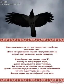 Год ворона