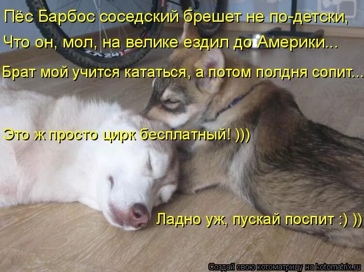 люди разговаривают на улице. инет подруги встретились. встретимся на молу. ветер души. девушка вспоминает.