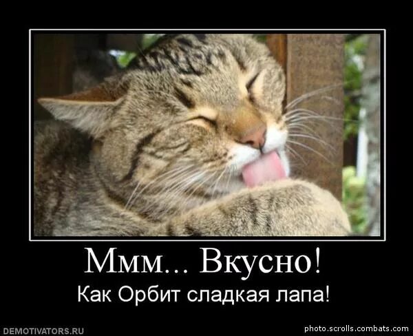 надпись натуральность. стаканчики бумажный с вкусными. ммм вкусно. ммм вкусно. вкусно а можно ещё.