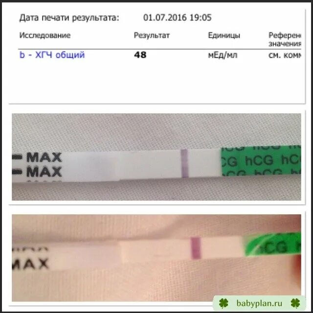 Тест показывает положительный а хгч отрицательный. Хгч и тест полоски на беременность. тесты клевер на беременность 5дпо. хгч тест на беременность. положительный тест на хгч.