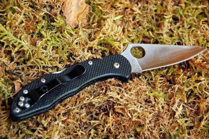 Spyderco delica