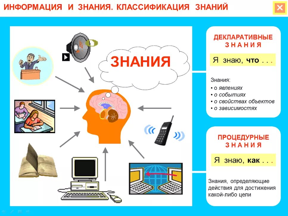 Что является источником информации для человека