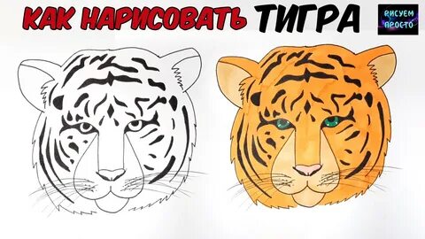 Как нарисовать морду тигра