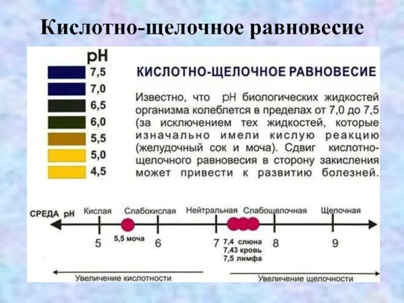 Щелочная среда будет в растворе соли