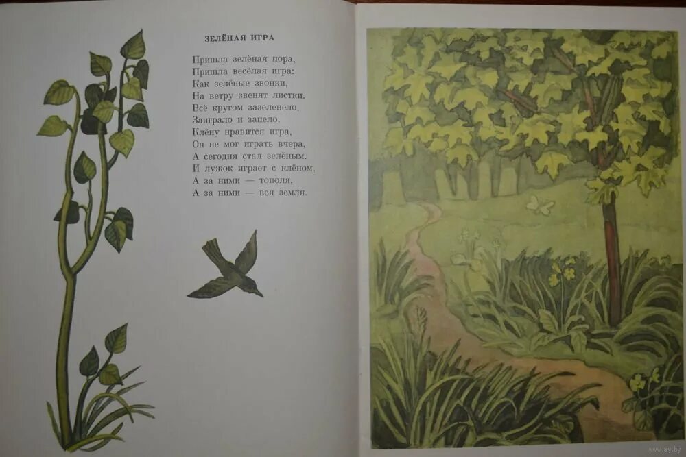 Рисунок к стиху зеленые стихи Саша черный. Стихотворение зеленые стихи. Рисунок к стихотворению зелёные стихи. Рисунок для стиха зеленые стихи.
