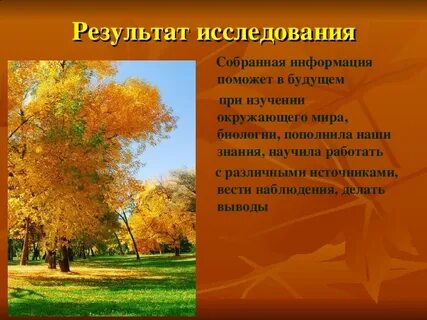 Как меняются листья осенью