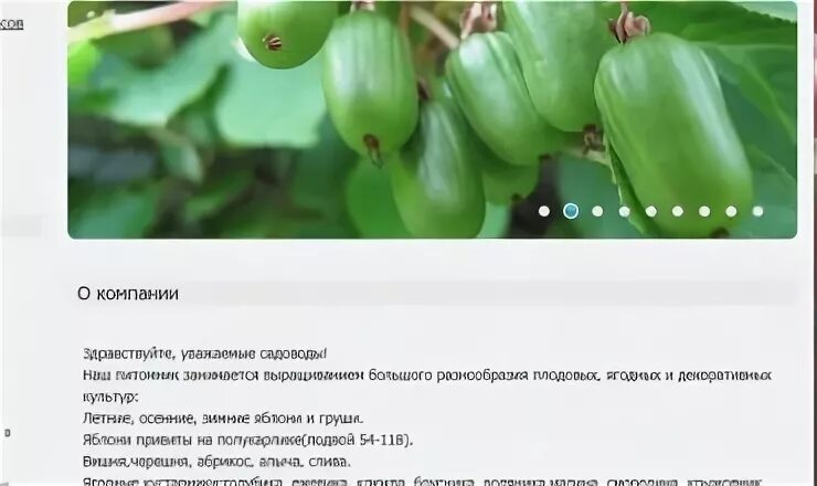 Плодовоягодный питомник. Екатеринбургский питомник садовых растений каталог. Питомник соколовых пенза каталог товаров. Питомник растений велес, чита. Питомник пенза саженцы.