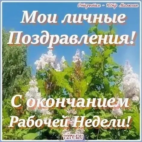 Хорошего завершения недели. Хорошего завершения недели