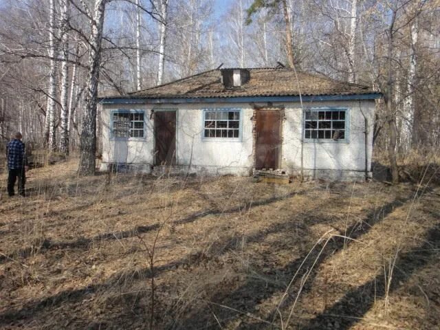 Зимари барнаул. Зимари алтайский край. Зимари алтайский край. Зимари алтайский край. Село зимари алтайский край.