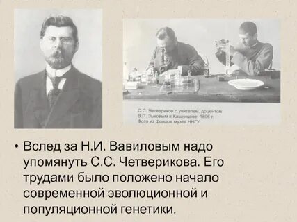 Четвериков москва
