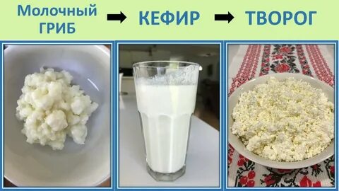 Творожный гриб