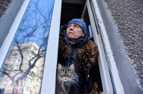 Мирного 2023 года
