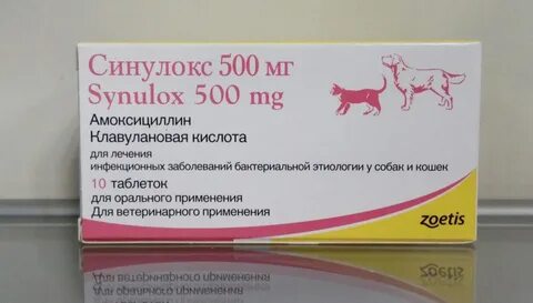 Антибиотики коту амоксициллин