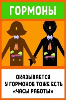 Гормоны утром