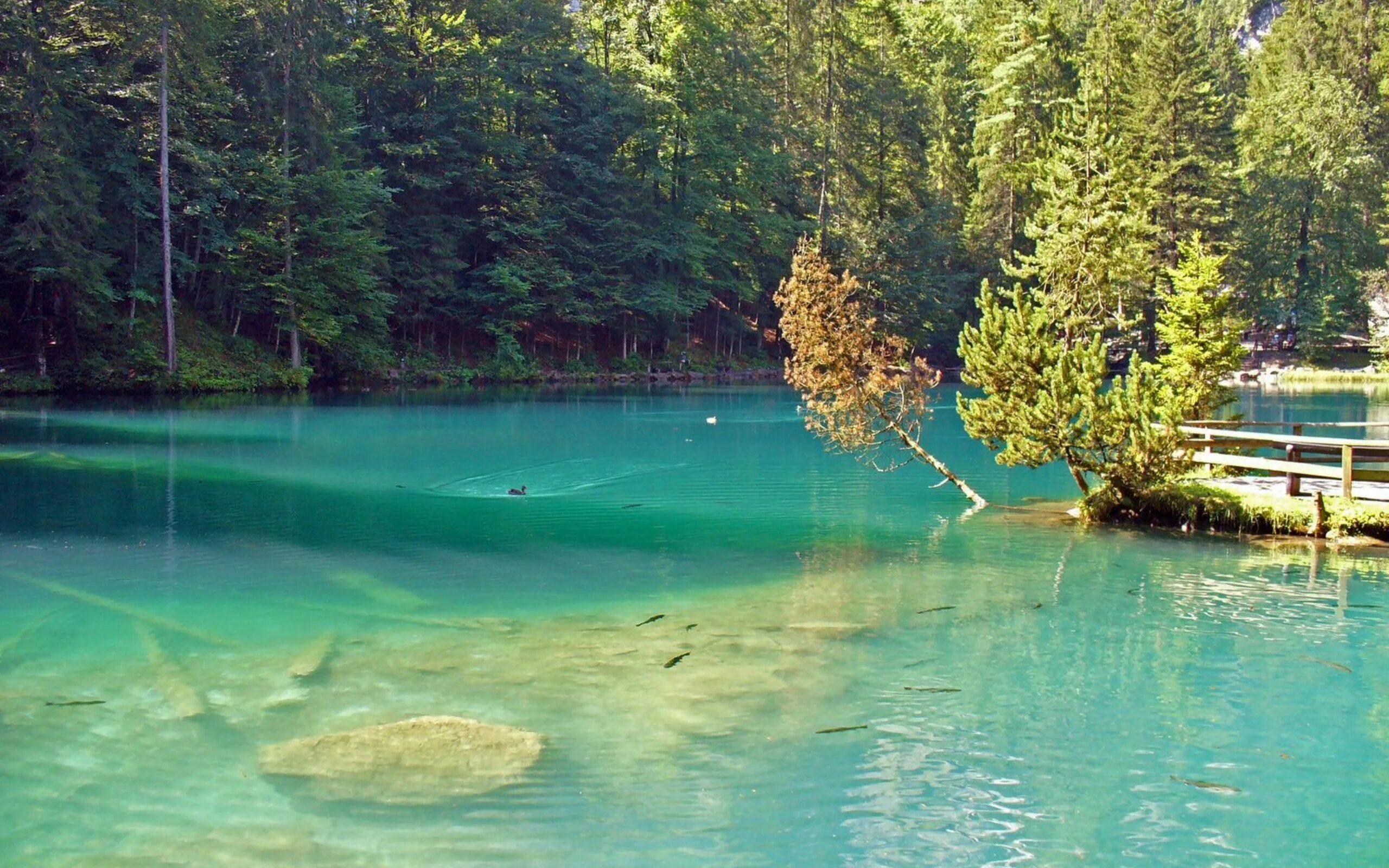 кольский полуостров озеро сейдозеро. национальный парк йохо канада. гейзеровое озеро горный алтай акташ. гейзеровое озеро горный алтай. где красивое озеро.