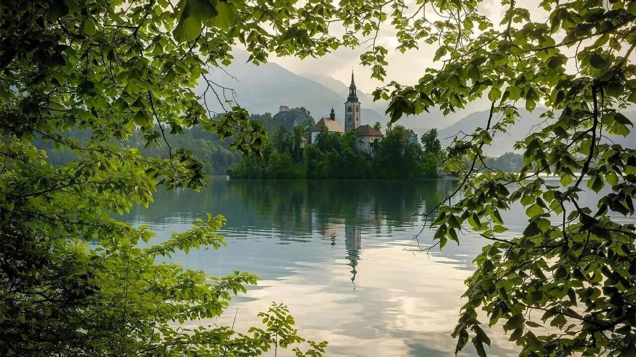 Фото красивые храм море лес Доброе утро, друзья! 2023 ! Патриоты России ! ВПК "Сапсан"! ВКонтакте