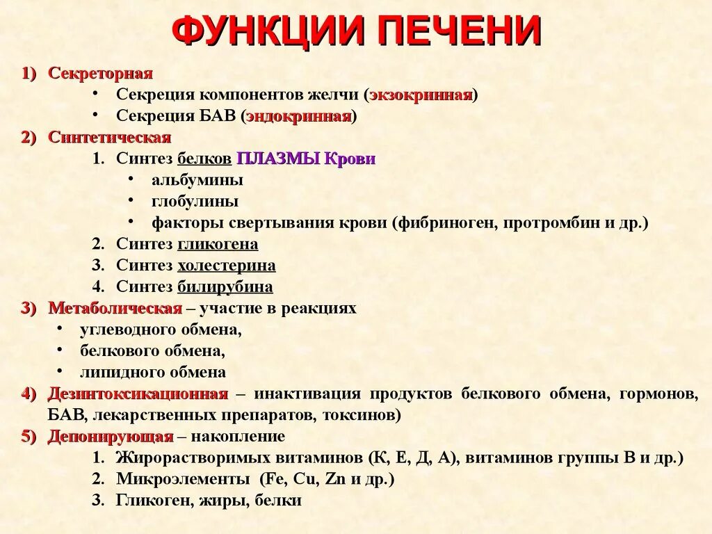 Свертывание крови печень. Процессы происходящие в печени. Факторы свертываемости крови в печени. Функции печени 5 основных ферментообразующая. Секреторная функция печени.