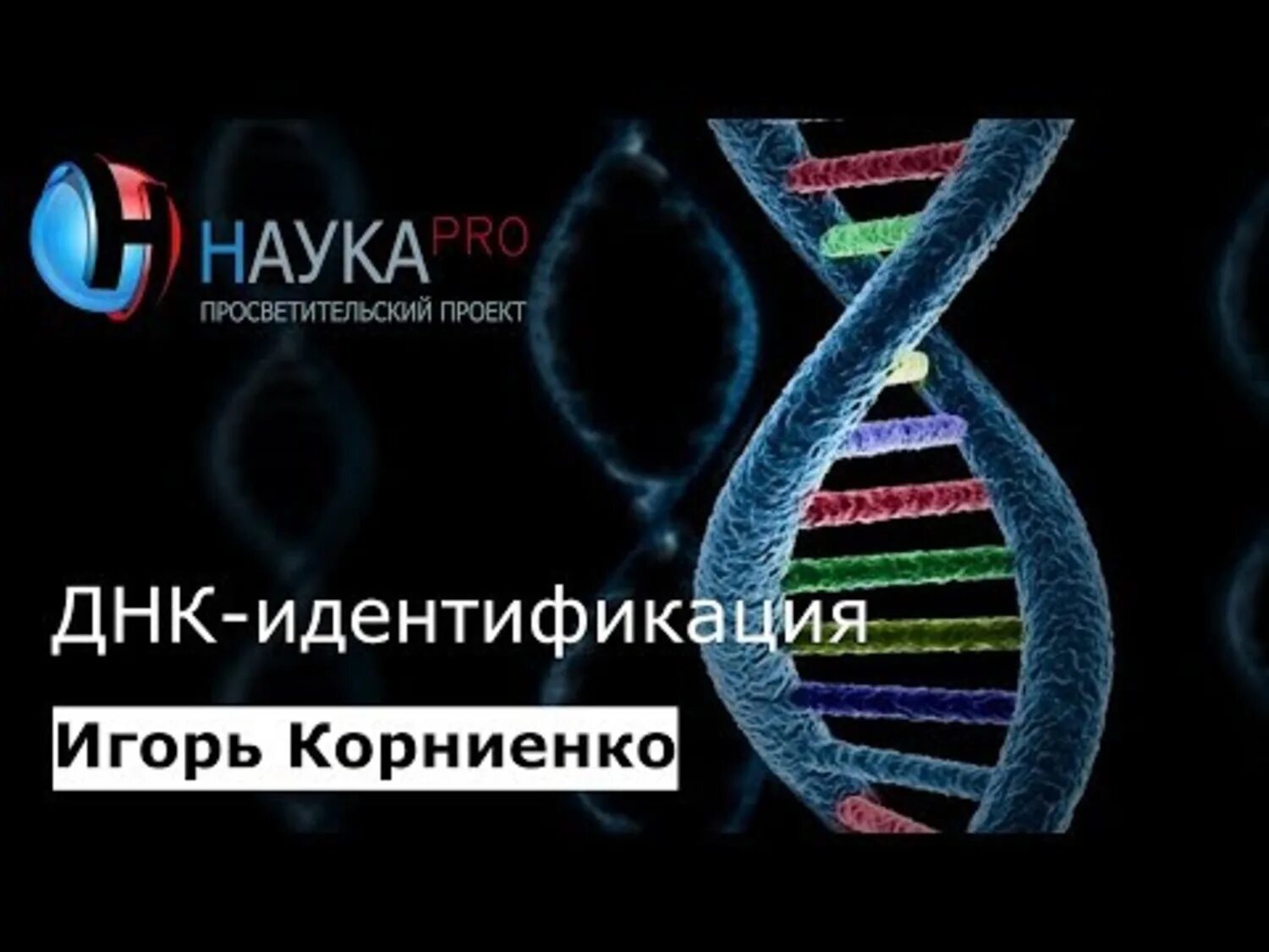Метод днк идентификации. Днк идентификация. днк идентификация личности. генетическая экспертиза. метод идентификации днк человека:.