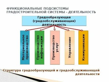 Территориальная организация жизни