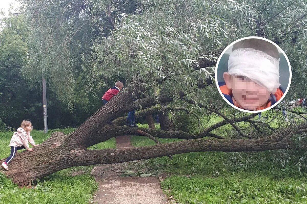 Дети побили ребенка в детском саду. Детский травматизм. Качели в лагере. Несчастные случаи на детских площадках. Спортивный туризм травмы.