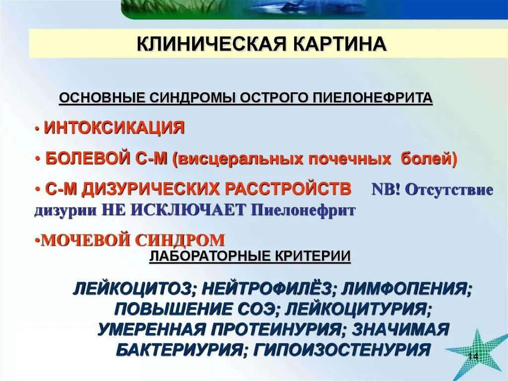 Клинические проявления пиелонефрита. Клинические синдромы острого пиелонефрита. Мочевой синдром при остром пиелонефрите. Основной синдром острого пиелонефрита. Пиелонефрит жалобы пациента