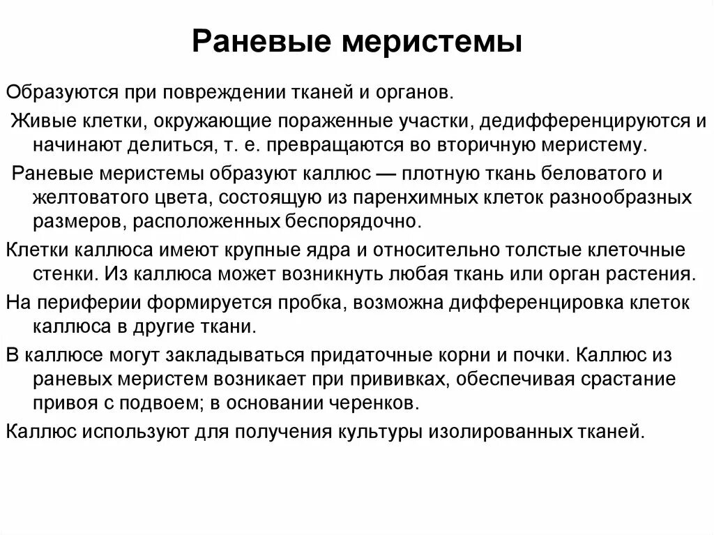 Раневая меристема