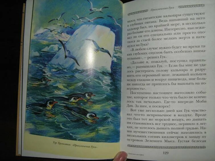 Девочка и дельфин. Рассказ девочка и дельфин. Девочка и дельфин. Сахарнов. Сахарнов девочка и дельфин книга.
