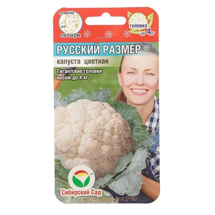 Сорт капусты русский размер. , нк. Капуста б/к валентина f1 (гавриш). Капуста русский размер бк 50 шт. Капуста белокочанная застольный f1.