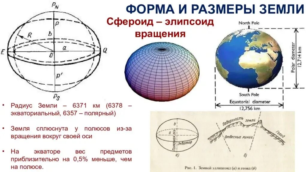 Диаметр земли по экватору и полюсам. Сплюснутый шар форма земли. Диаметр экватора земли. Форма и диаметр земли. Сколько размера земля