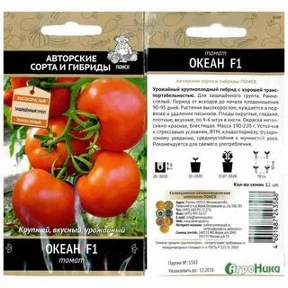 Томат океан