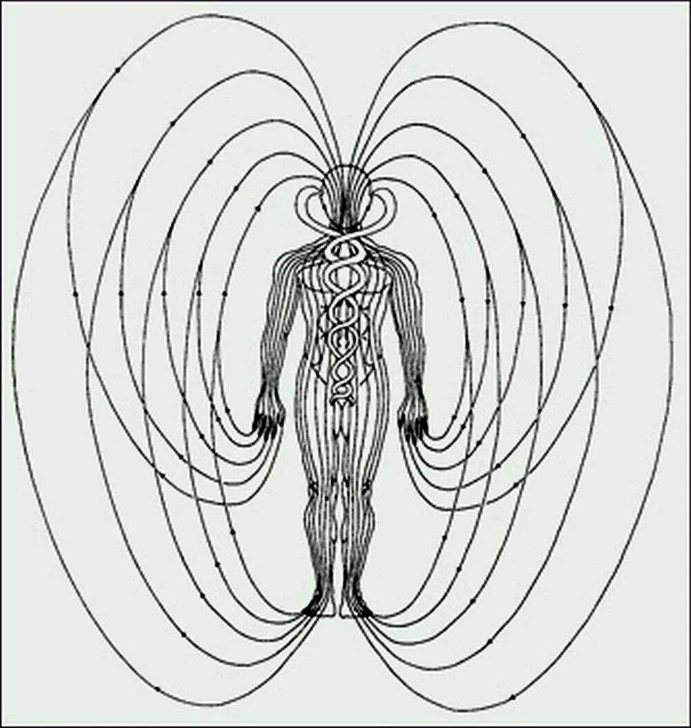 Картинка поля человека. Шишковидная железа чакра. Энергия человека. Человек в поле. Чакры человека.
