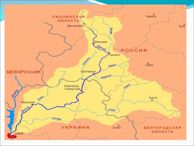 Река Десна на карте Брянской области. Река Десна Брянск карта. Схема реки Сейм в Курске. Река Десна схема протекания Брянск.