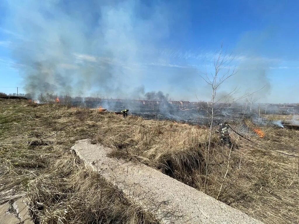 Пожары. Природные пожары. Пожары в Нижегородской области. Поле после пожара. Пал 2 этап
