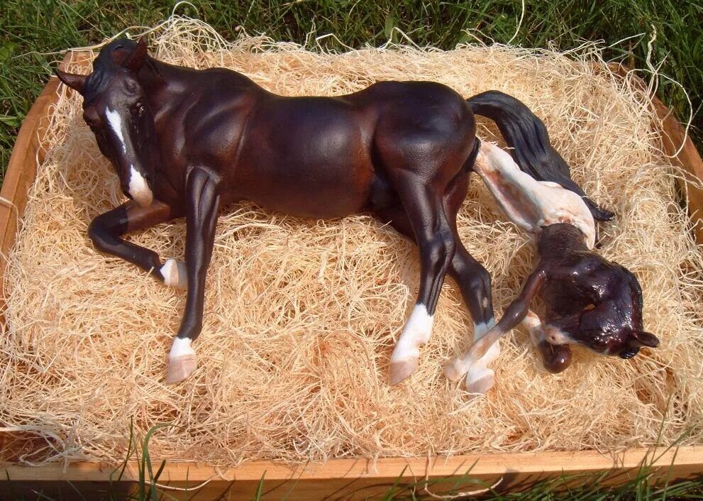 Новорожденный жеребенок. Рожа лошади.