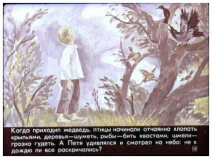 Дремучий медведь читательский дневник 4